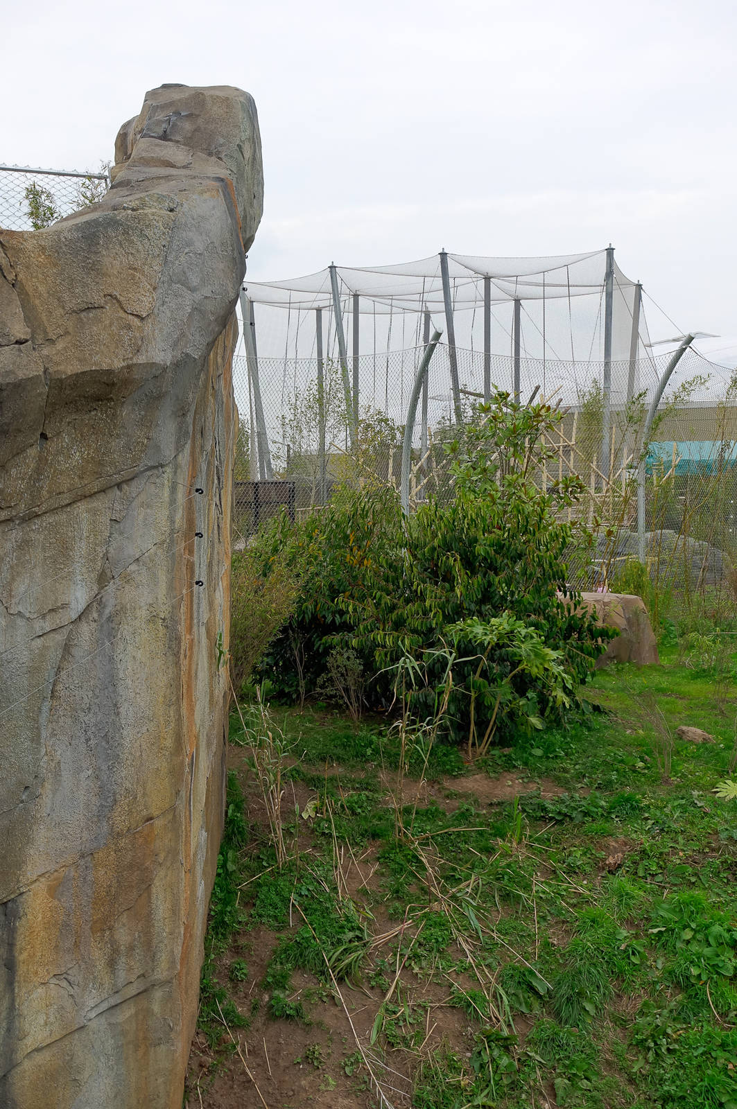 Tiger Exhibit - Islands - 11/10/2015