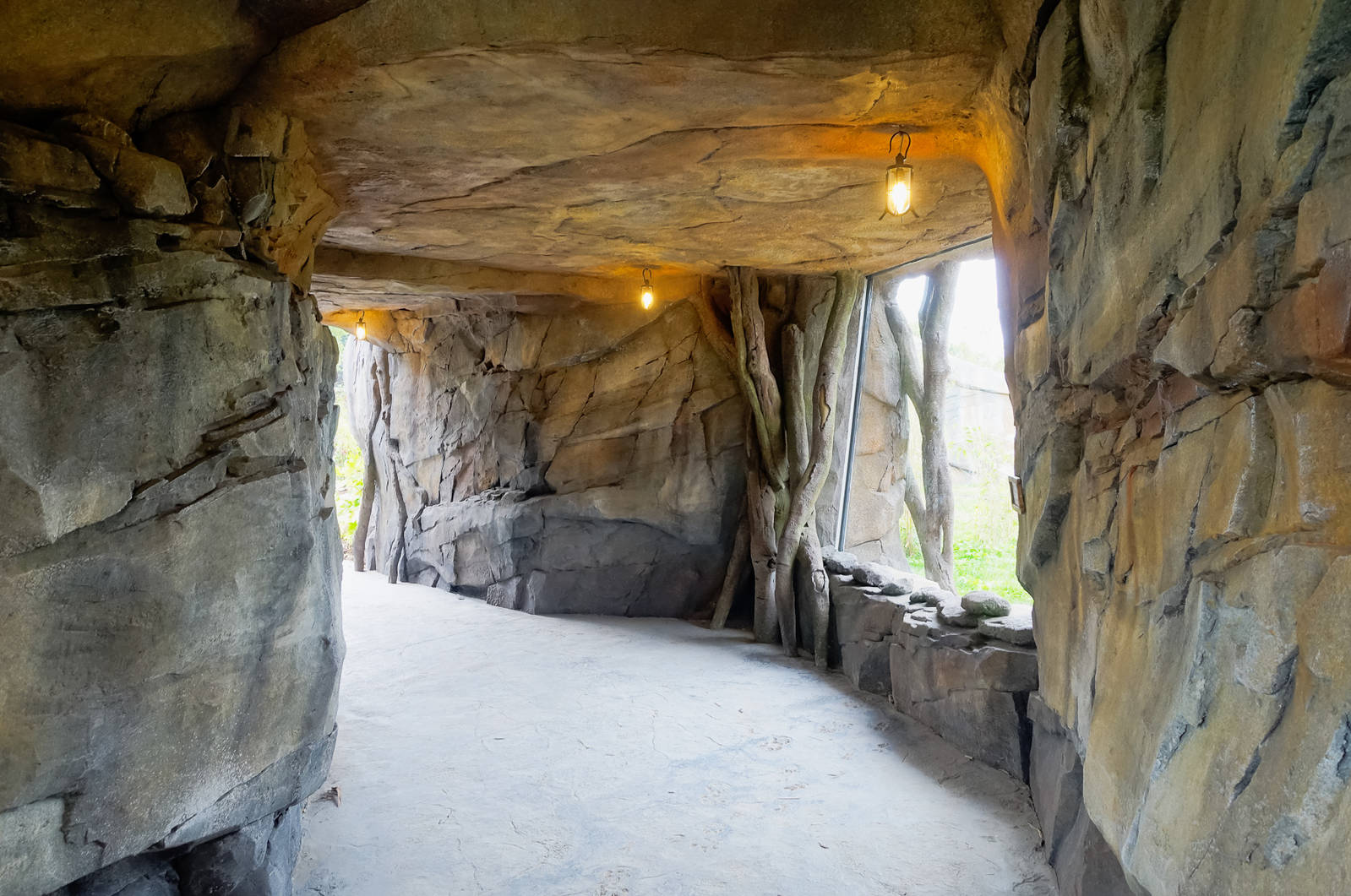 Tiger Exhibit - Islands - 11/10/2015