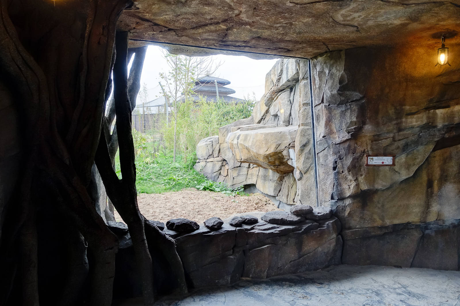 Tiger Exhibit - Islands - 11/10/2015