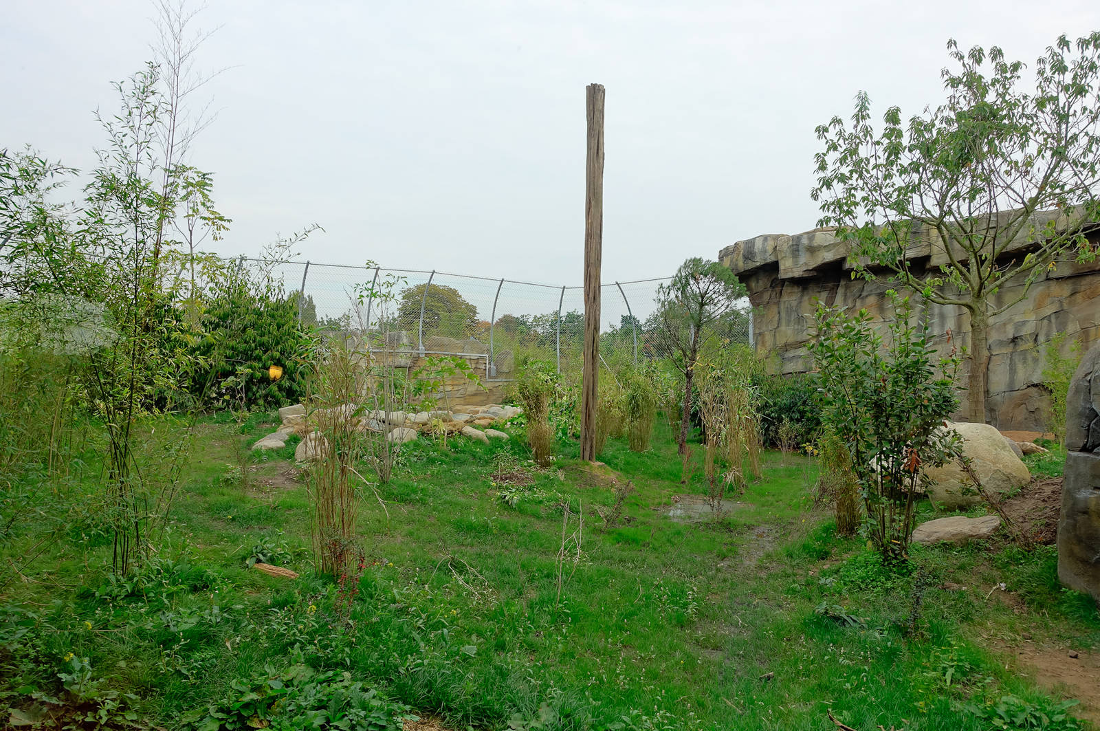 Tiger Exhibit - Islands - 11/10/2015