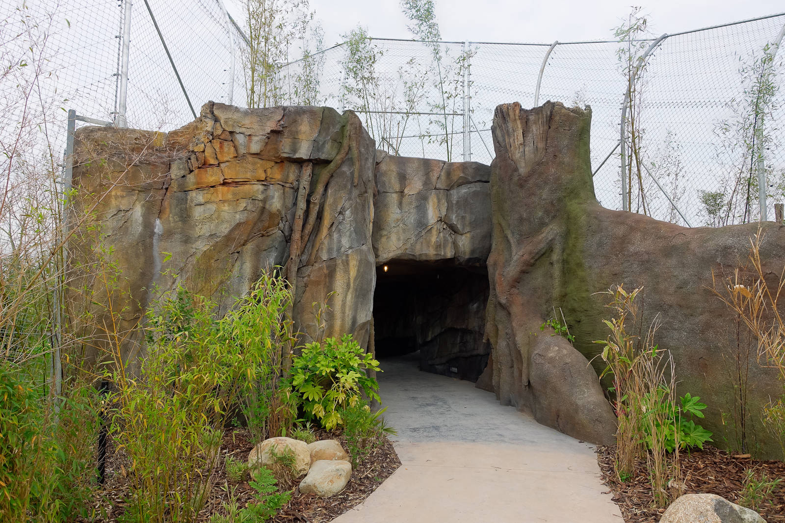 Tiger Exhibit - Islands - 11/10/2015