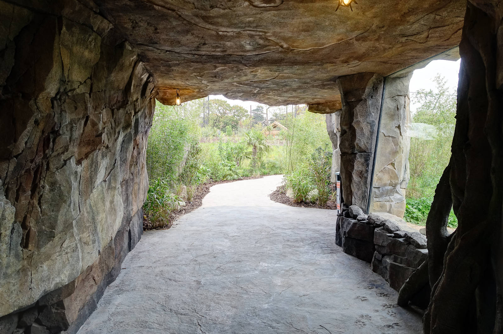 Tiger Exhibit - Islands - 11/10/2015