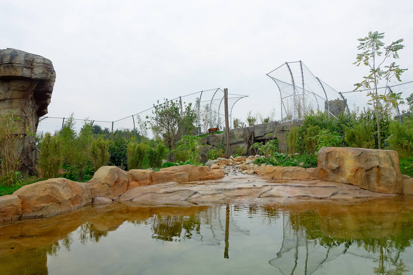 Tiger Exhibit - Islands - 11/10/2015
