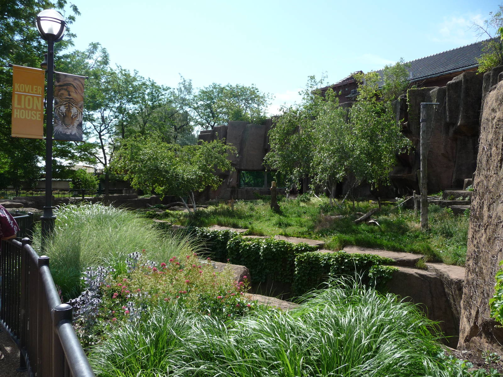 Tiger Exhibit - Lincoln Park Zoo