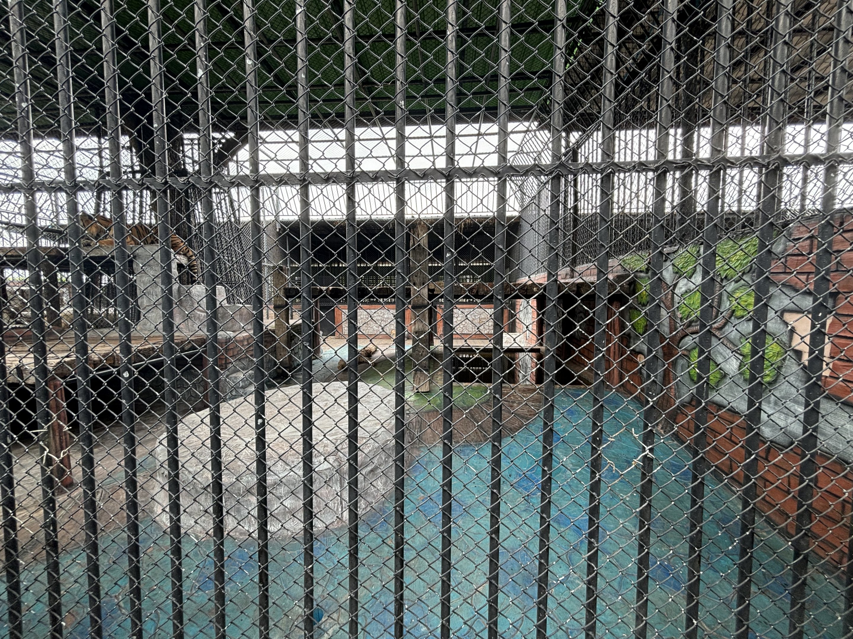 Tiger Exhibit - Lion Park