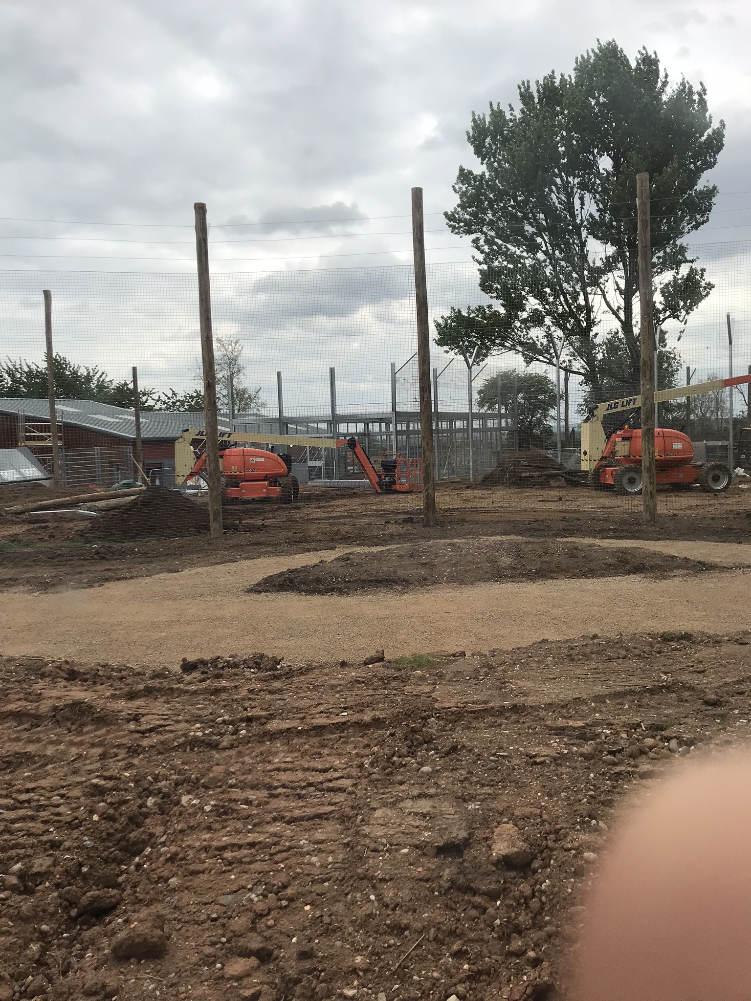 Tiger exhibit of show area