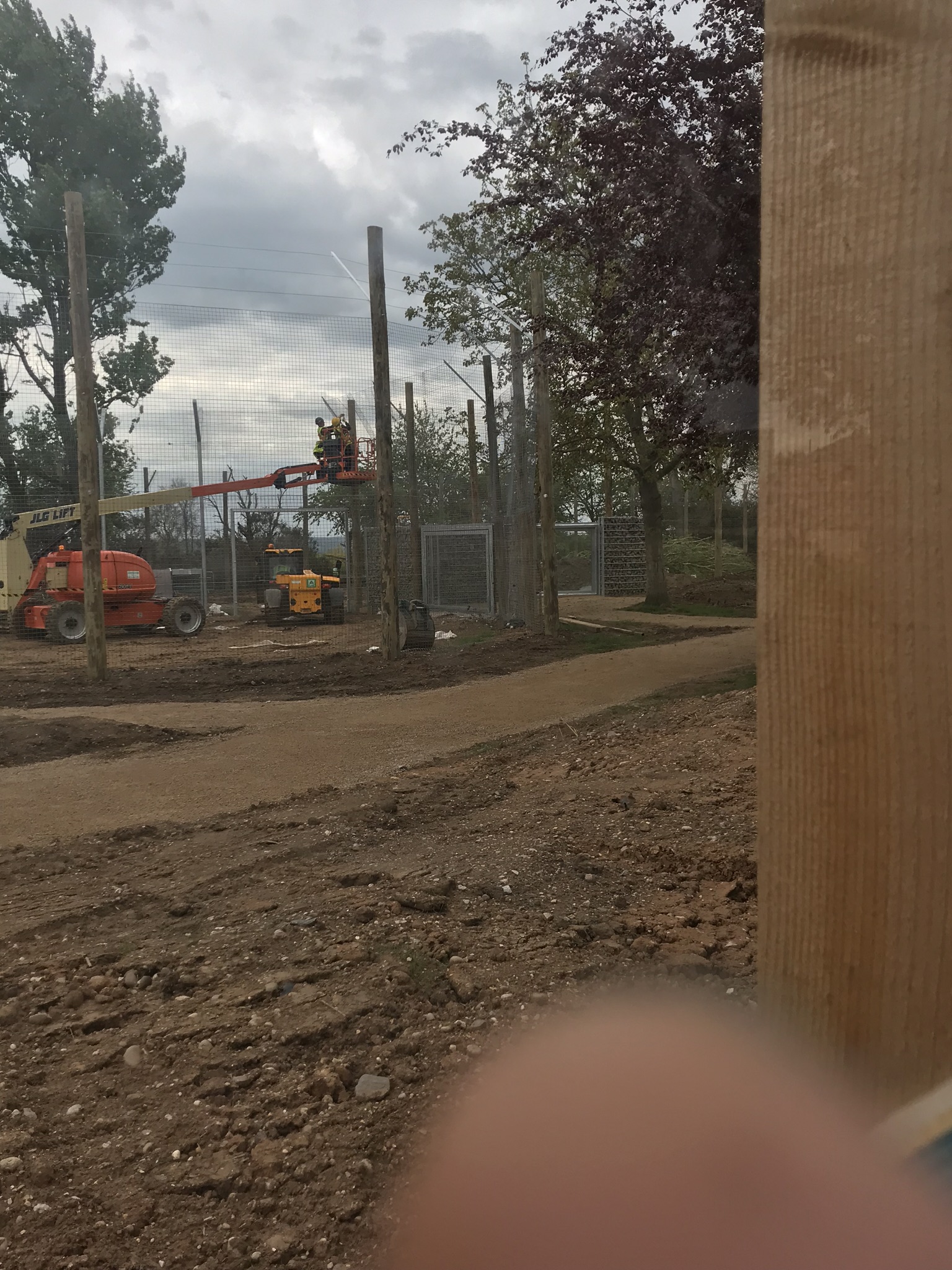 Tiger exhibit path ways and veiling areas