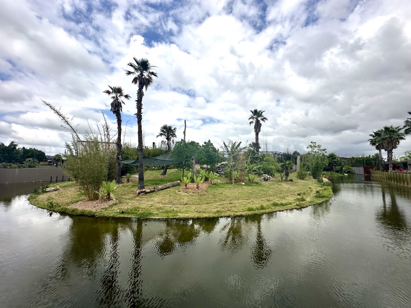 Tiger Exhibit (Pool)