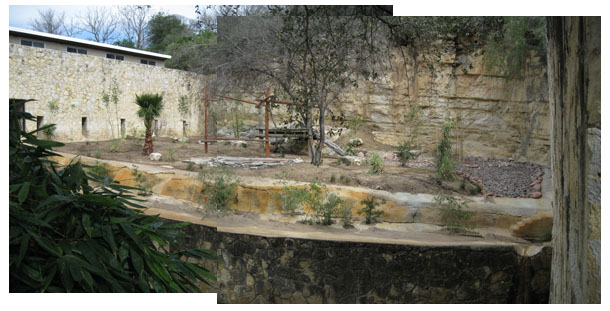 tiger exhibit remodel - Feb 2012