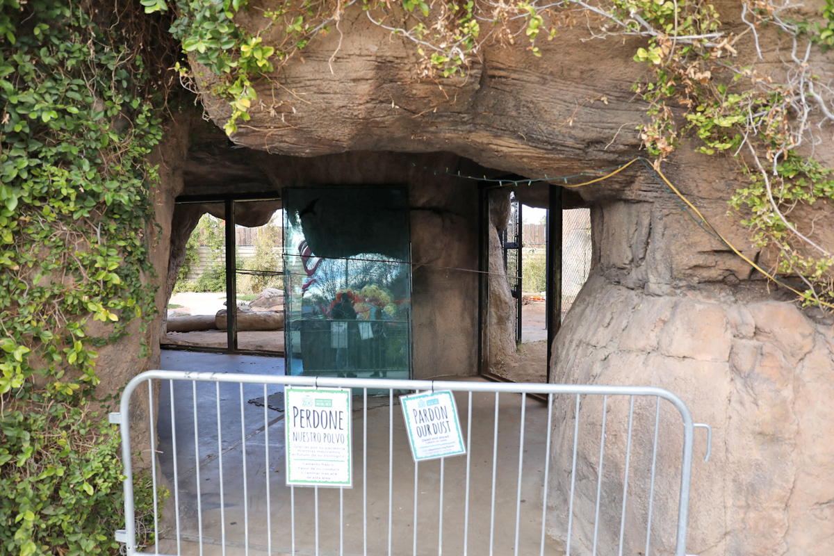 tiger exhibit renovation