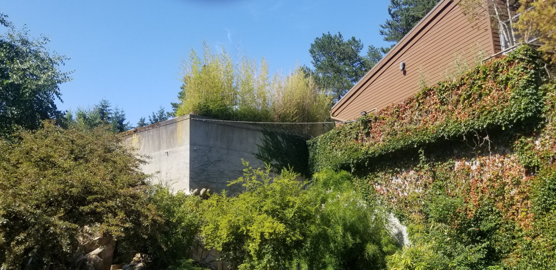 Tiger Exhibit Renovation