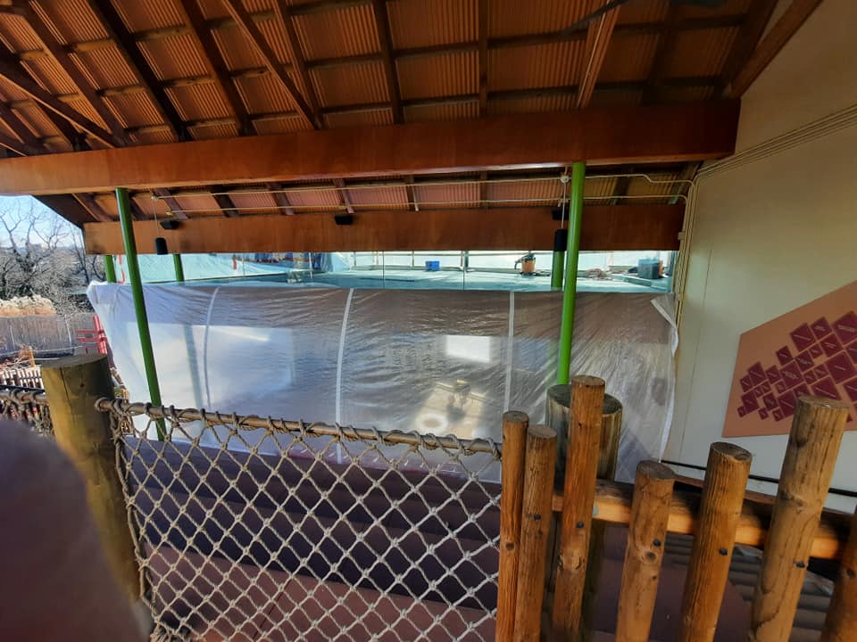 Tiger Exhibit Renovations