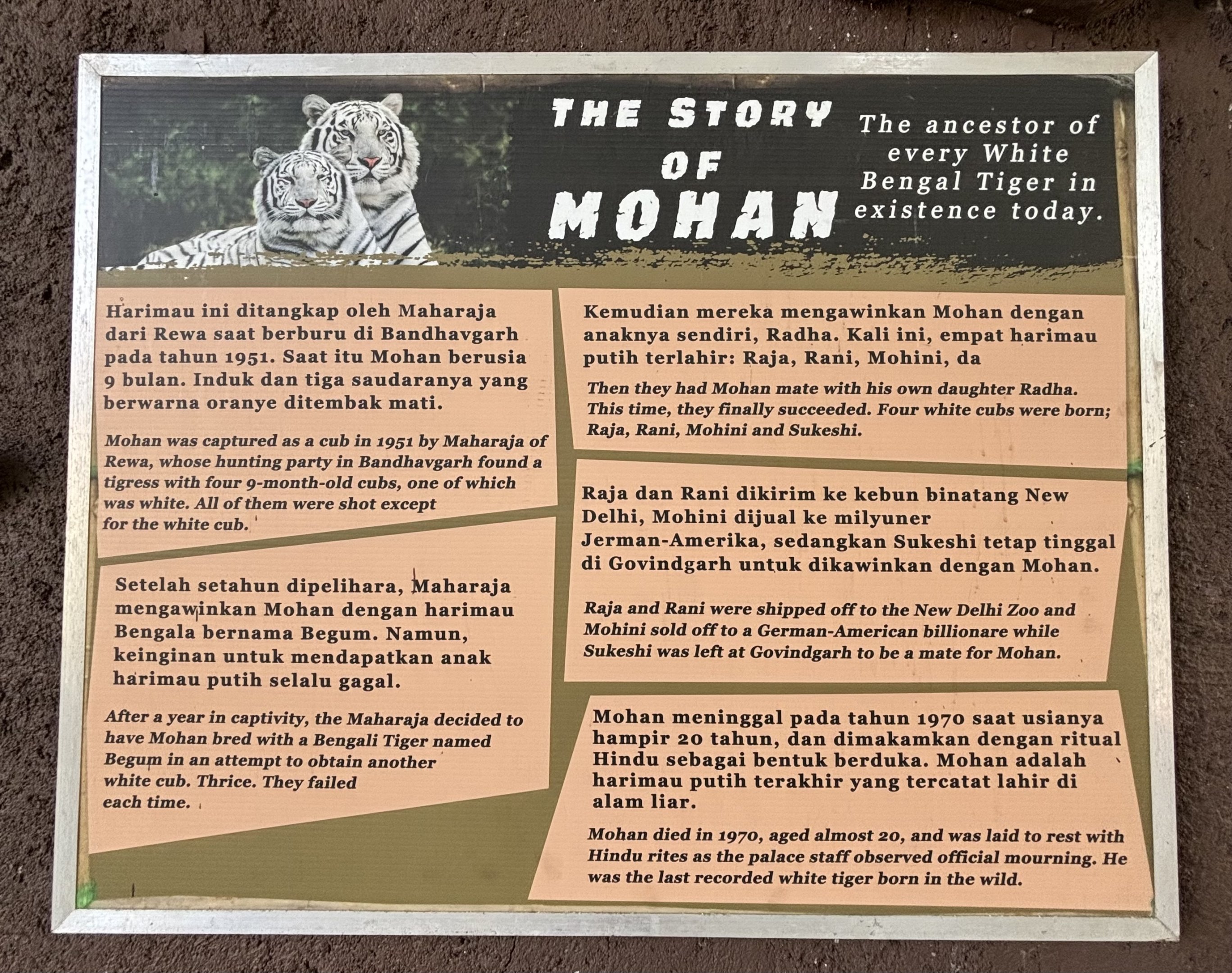 Tiger Exhibit Sign