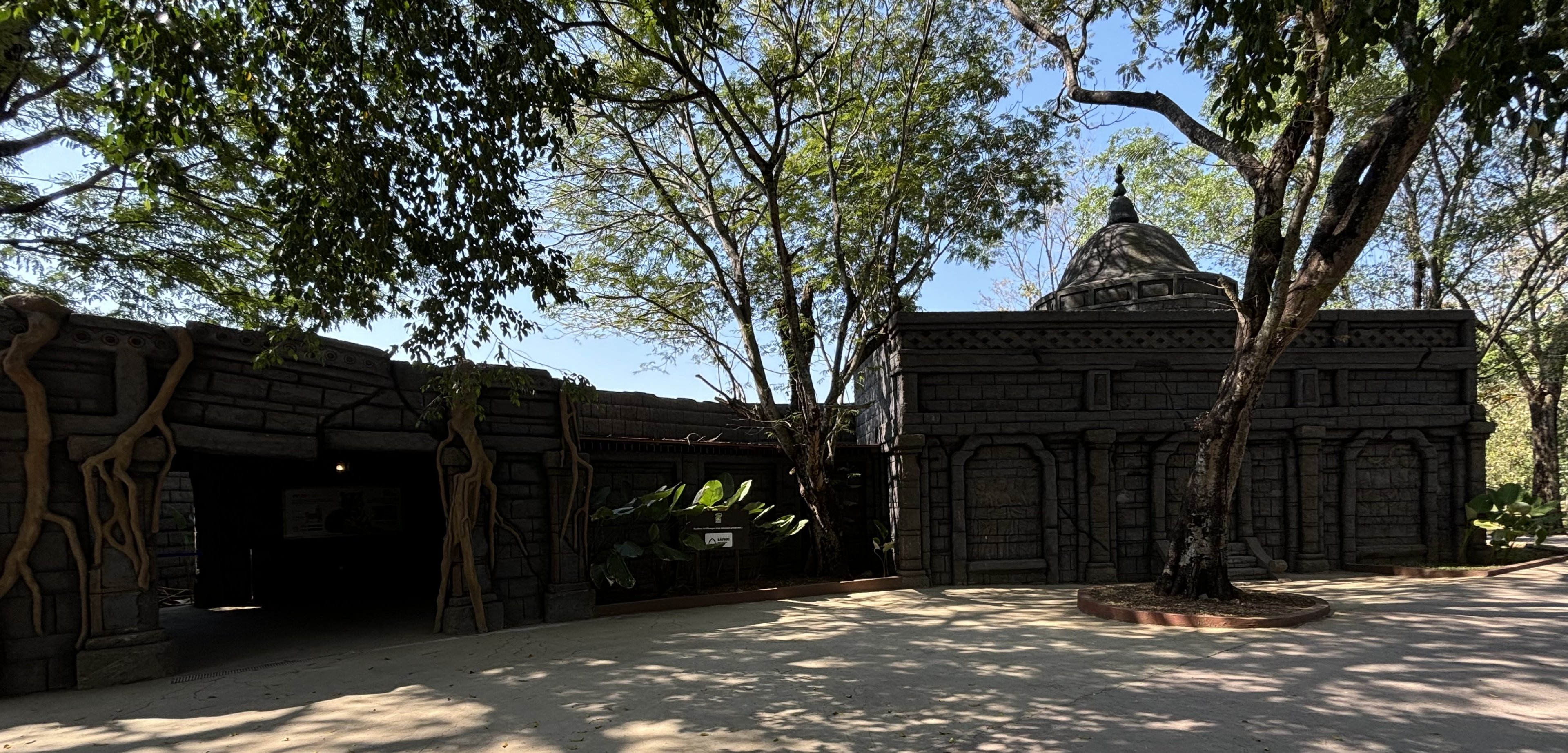 Tiger Exhibit - Solo Safari