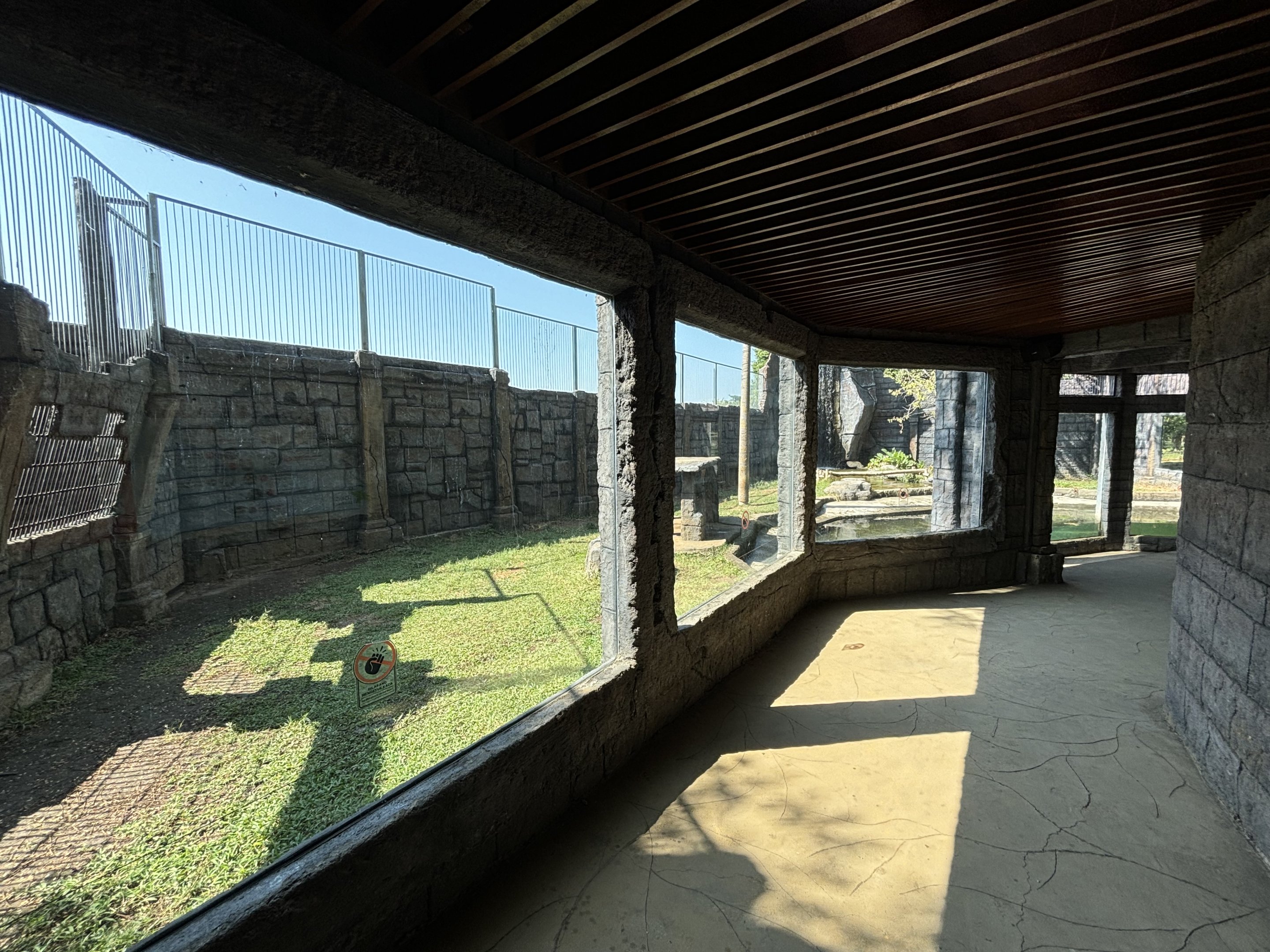 Tiger Exhibit - Solo Safari