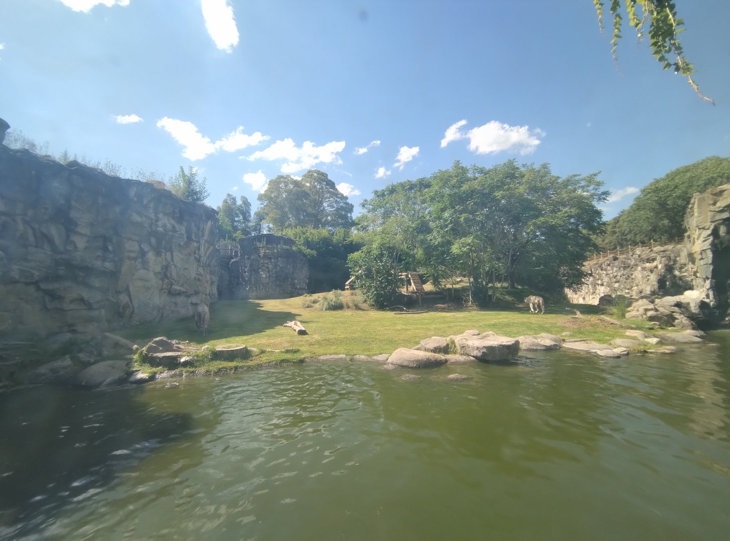 Tiger exhibit - Temaiken