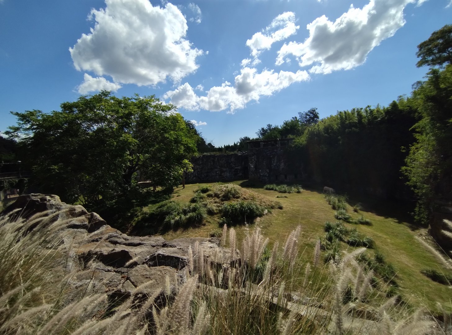 Tiger exhibit - Temaiken