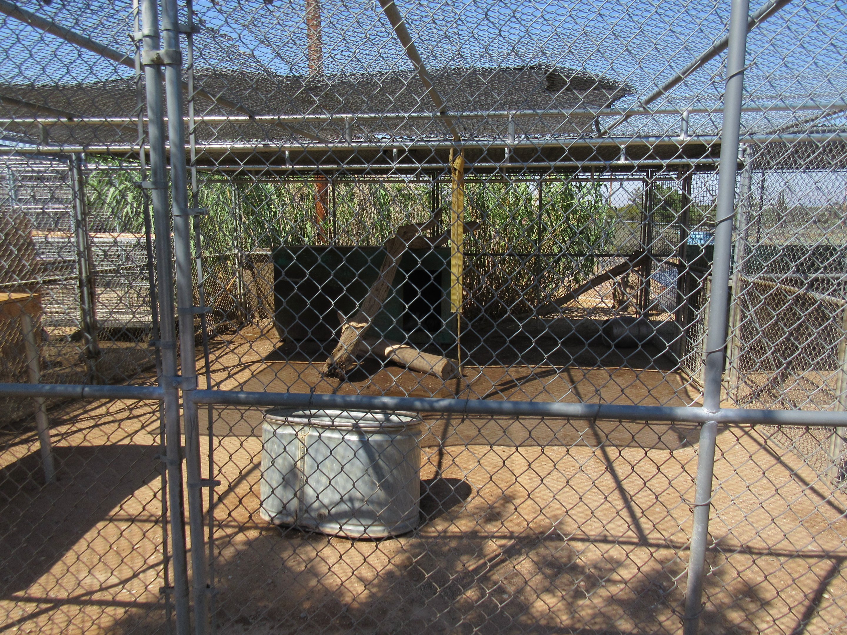 Tiger Exhibit (the zoo has approx. 9 tigers)