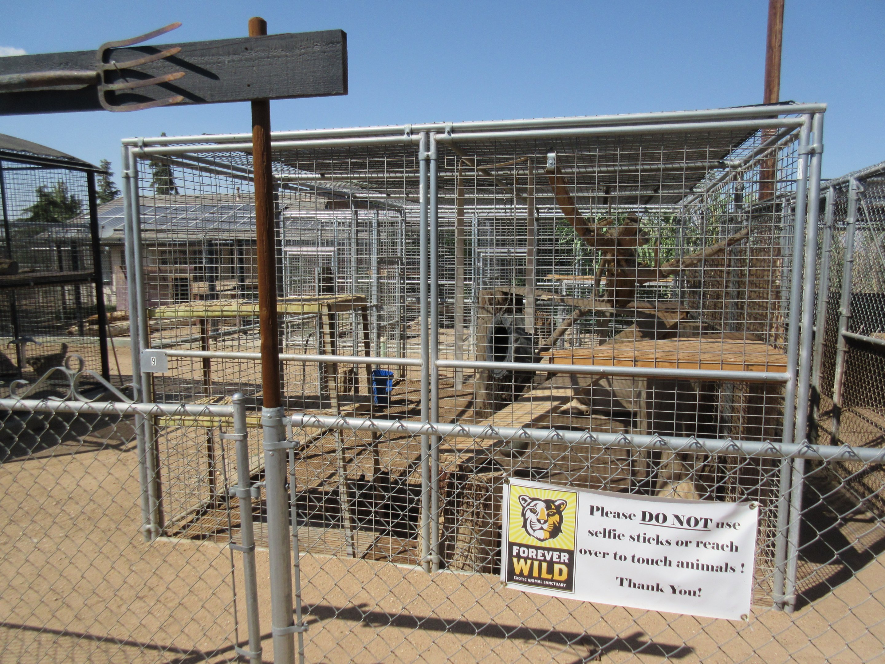 Tiger Exhibit (the zoo has approx. 9 tigers)