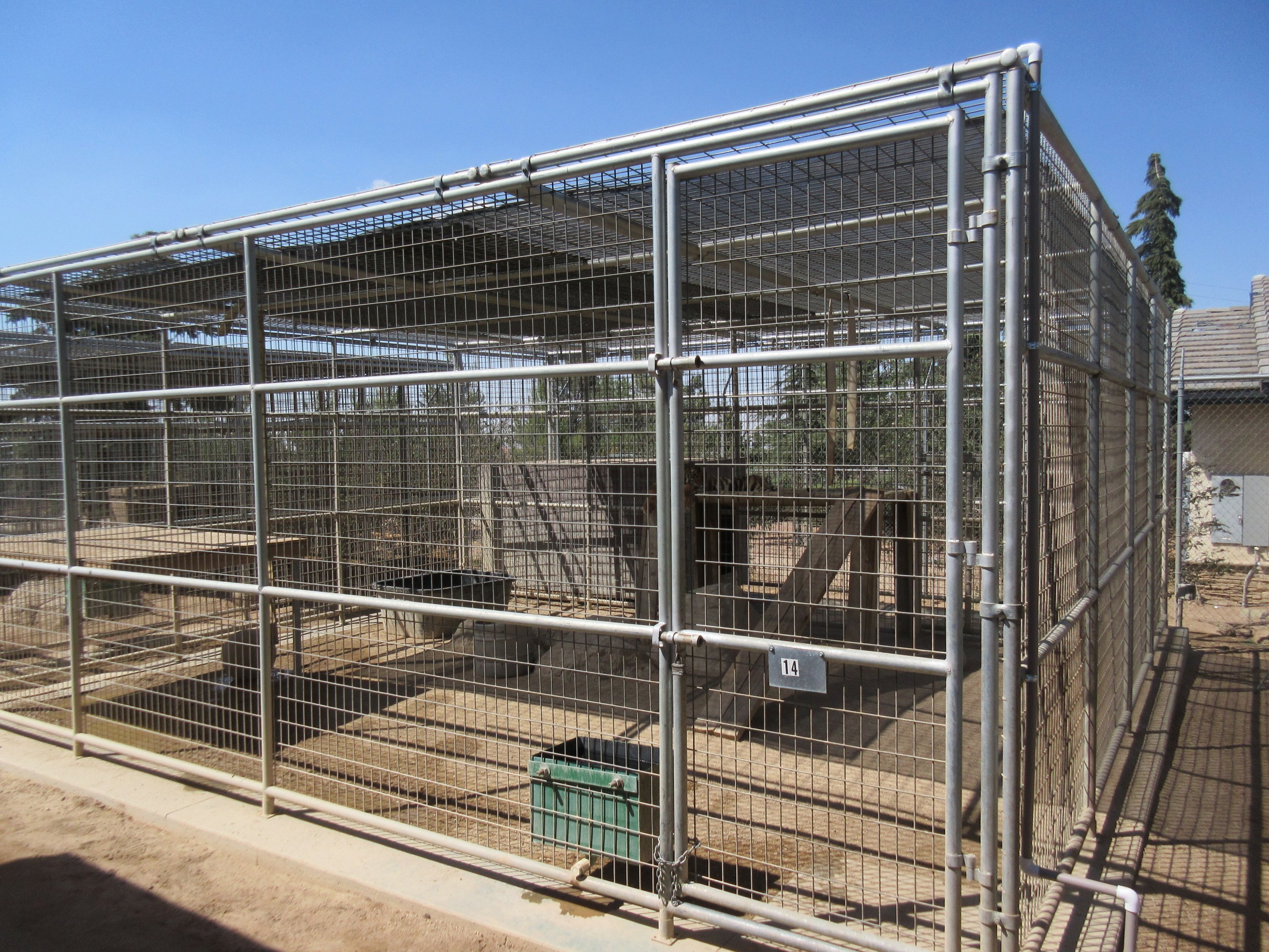 Tiger Exhibit (the zoo has approx. 9 tigers)