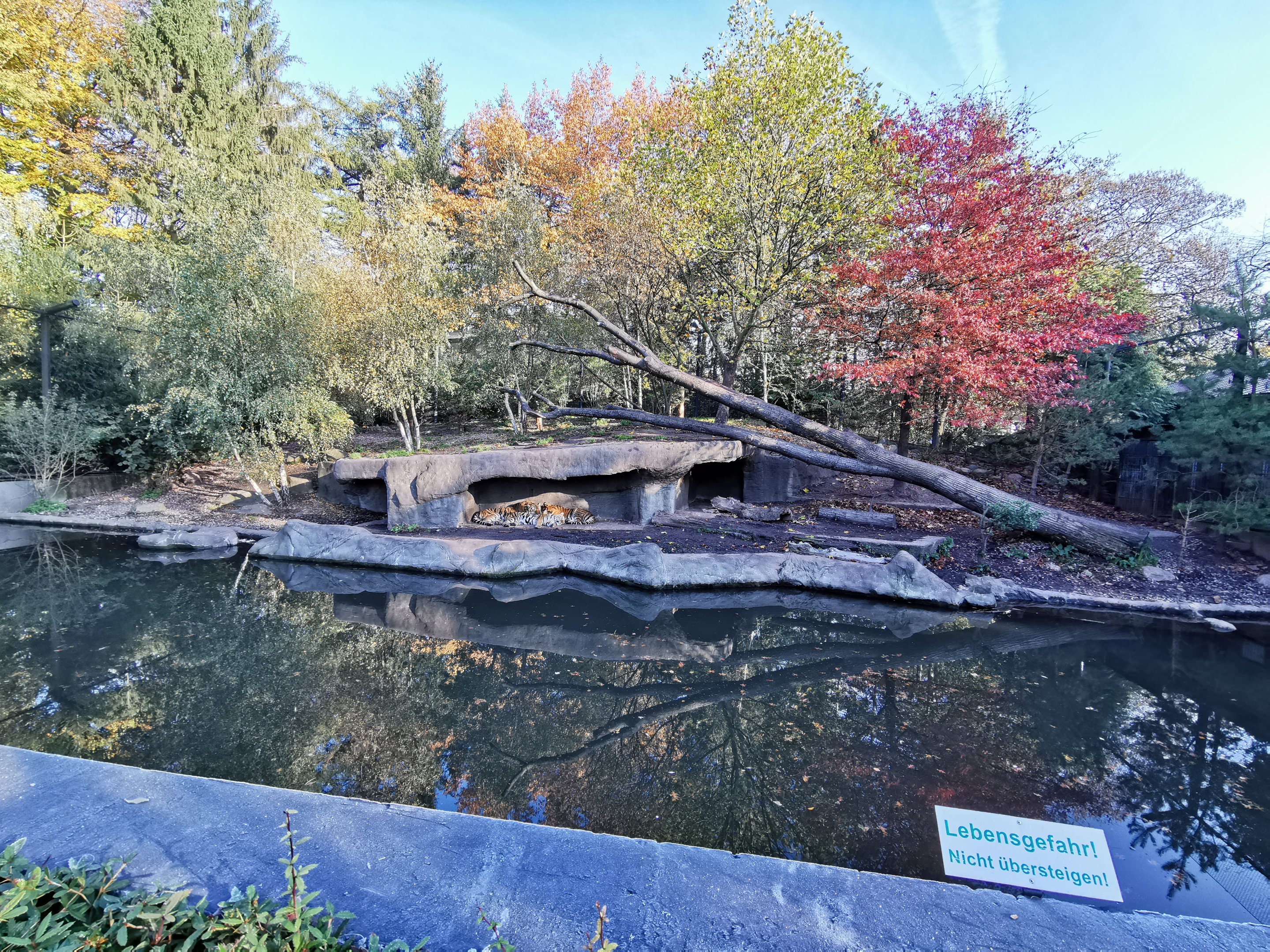 Tiger exhibit - Tierpark Hagenbeck