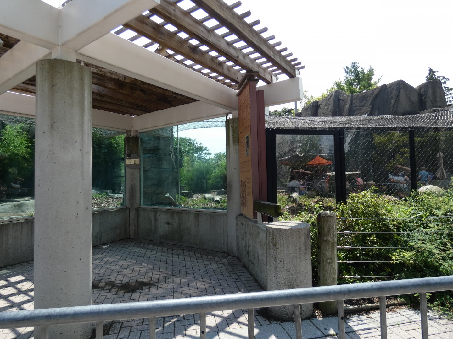 Tiger Exhibit, Tiger Terrance - July 2021