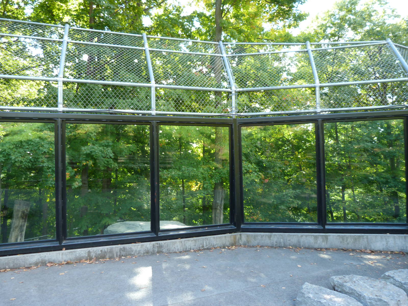 Tiger Exhibit - Wildlife Trails