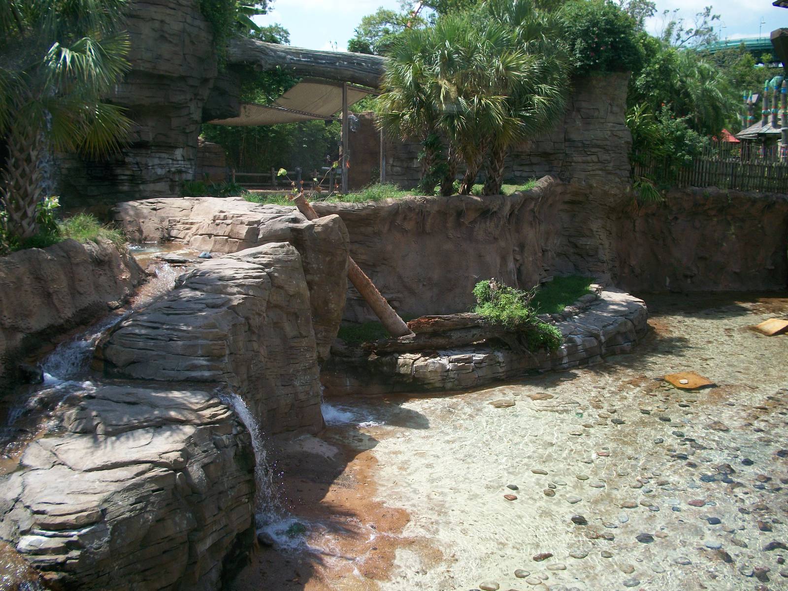 Tiger Exhibit