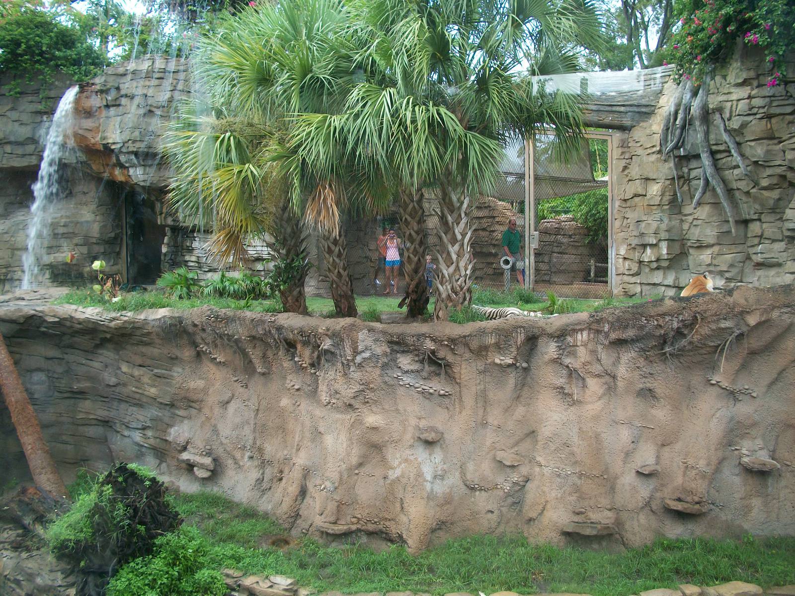Tiger Exhibit