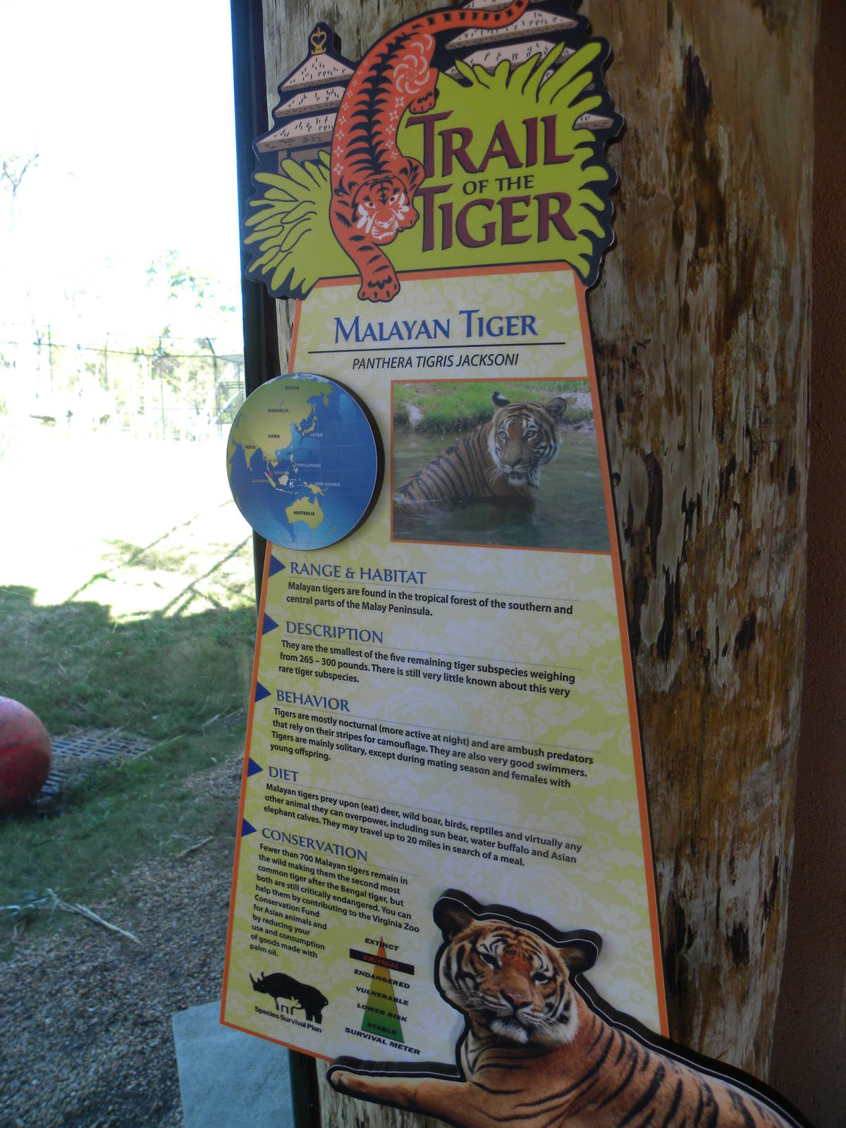 Tiger Exhibit