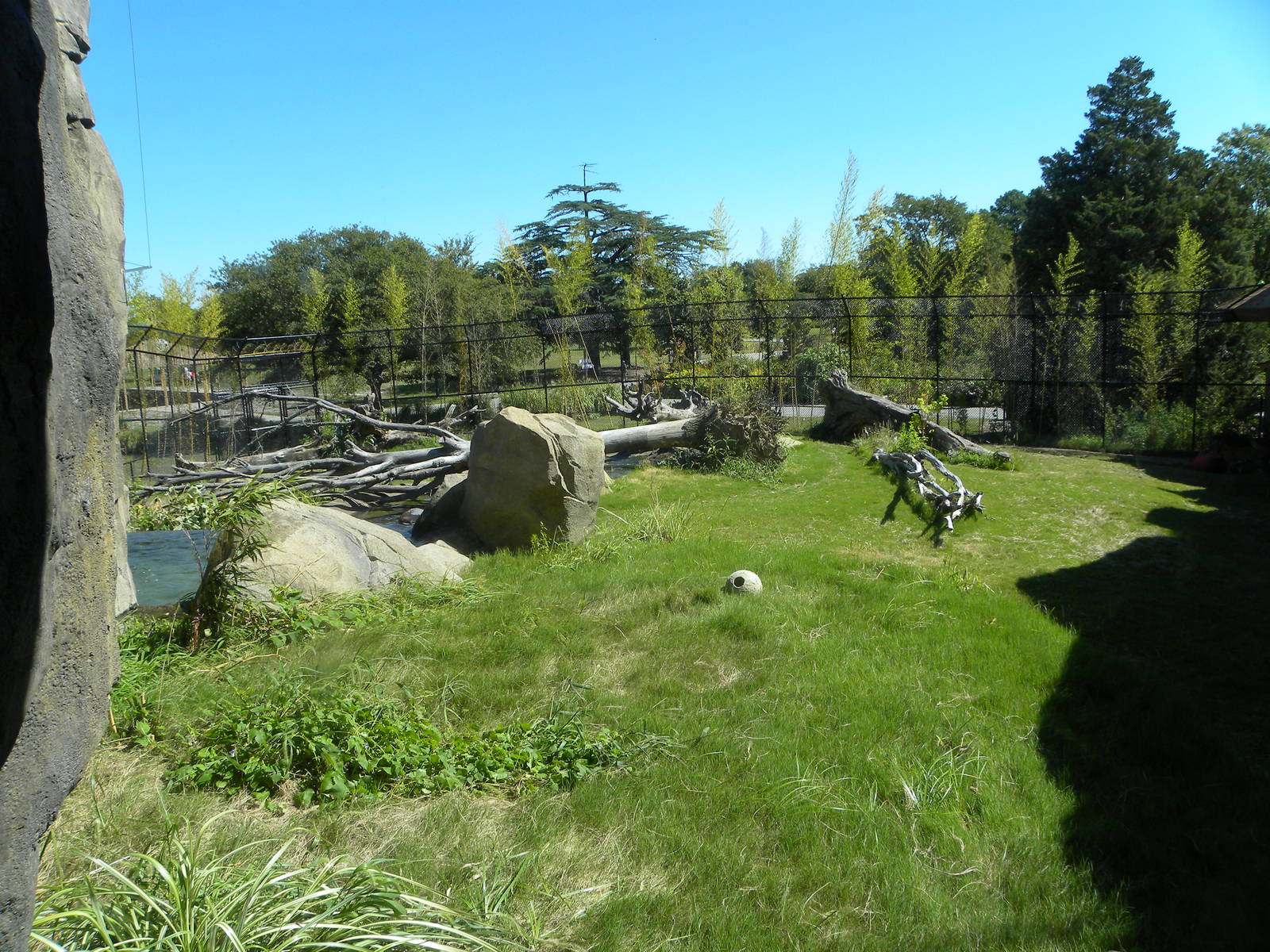 Tiger Exhibit