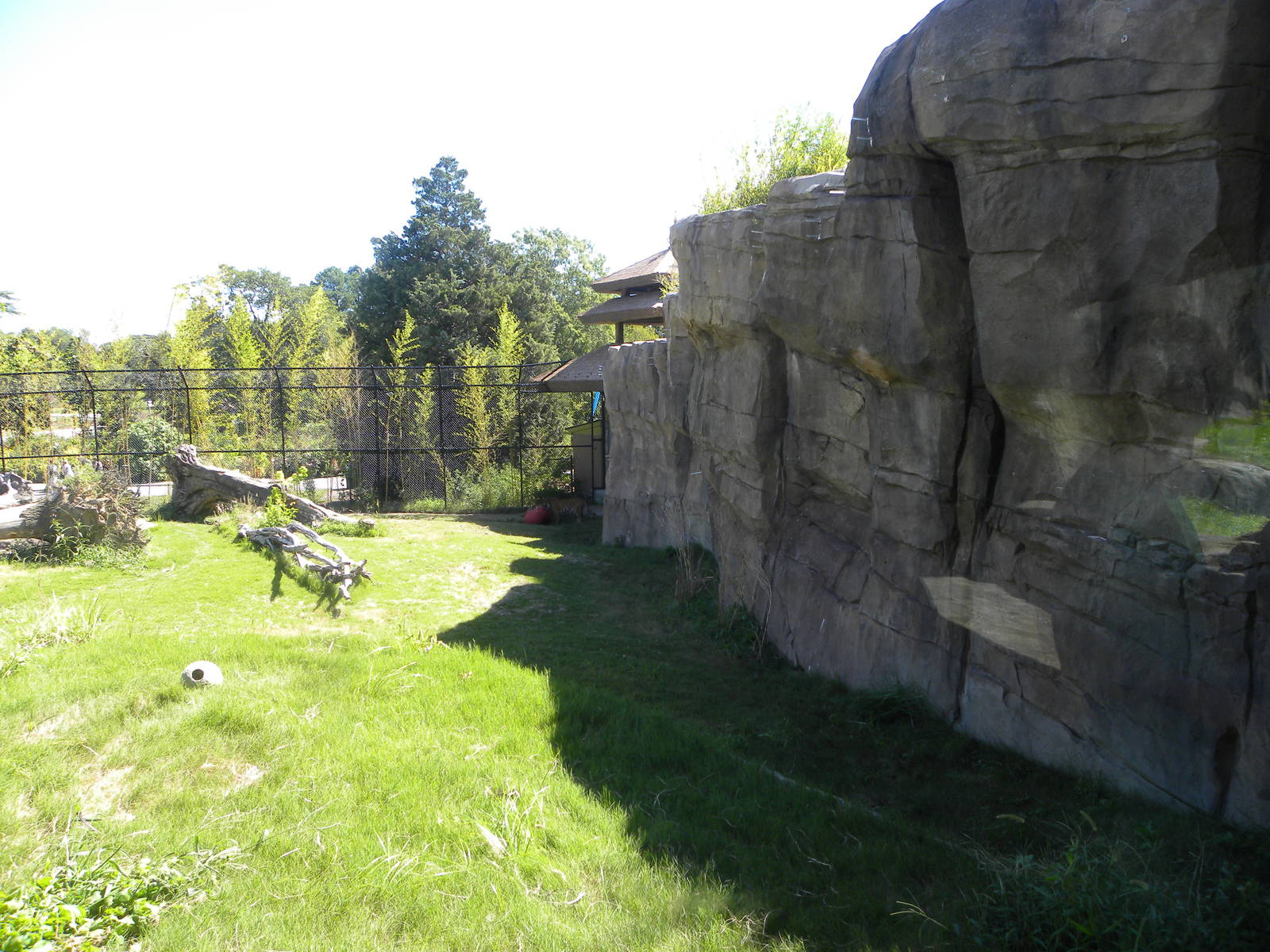 Tiger Exhibit