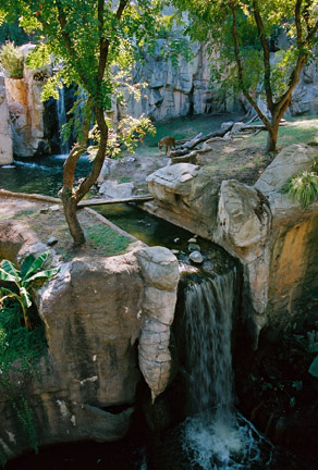 tiger exhibit