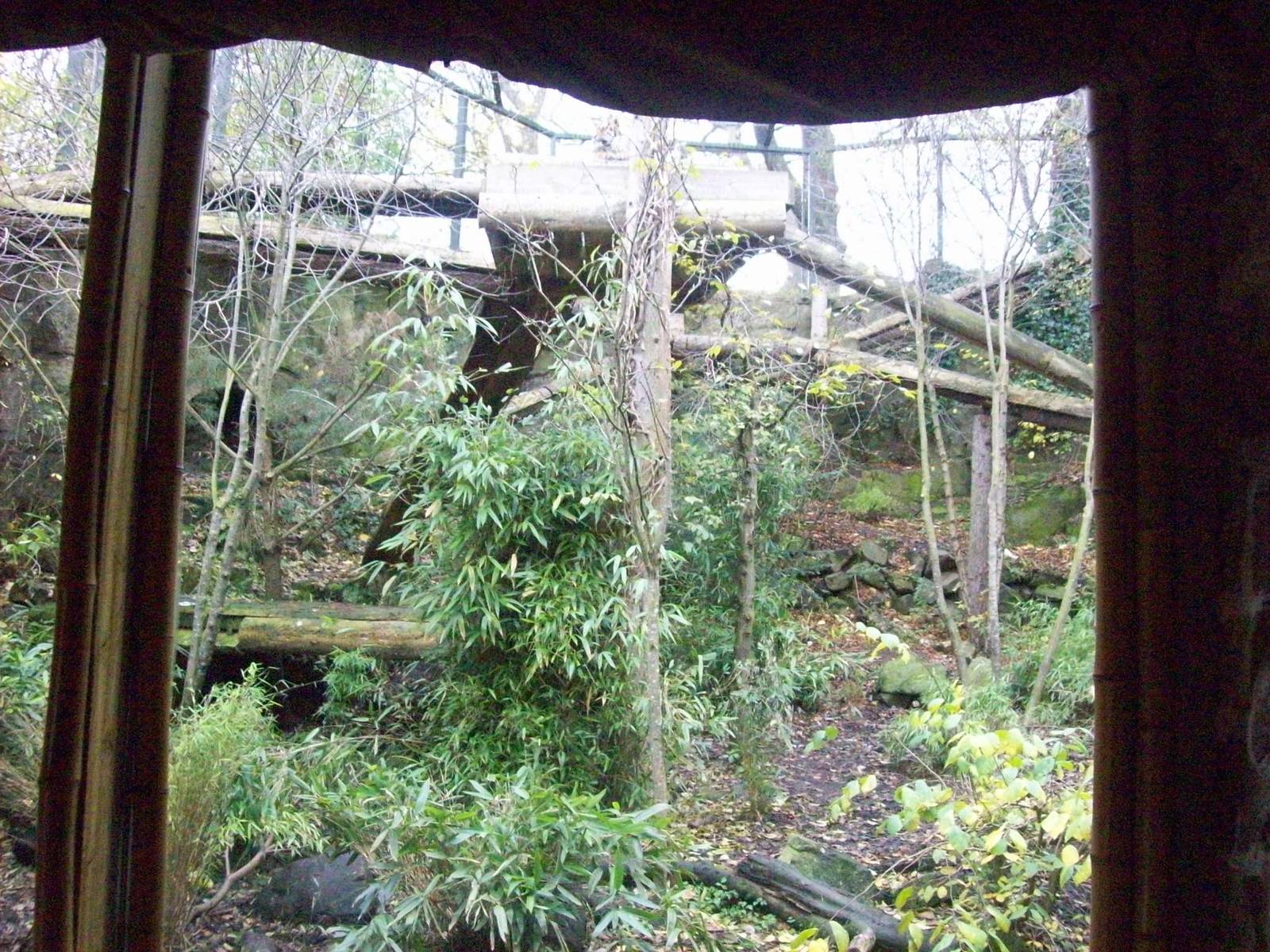 tiger exhibit