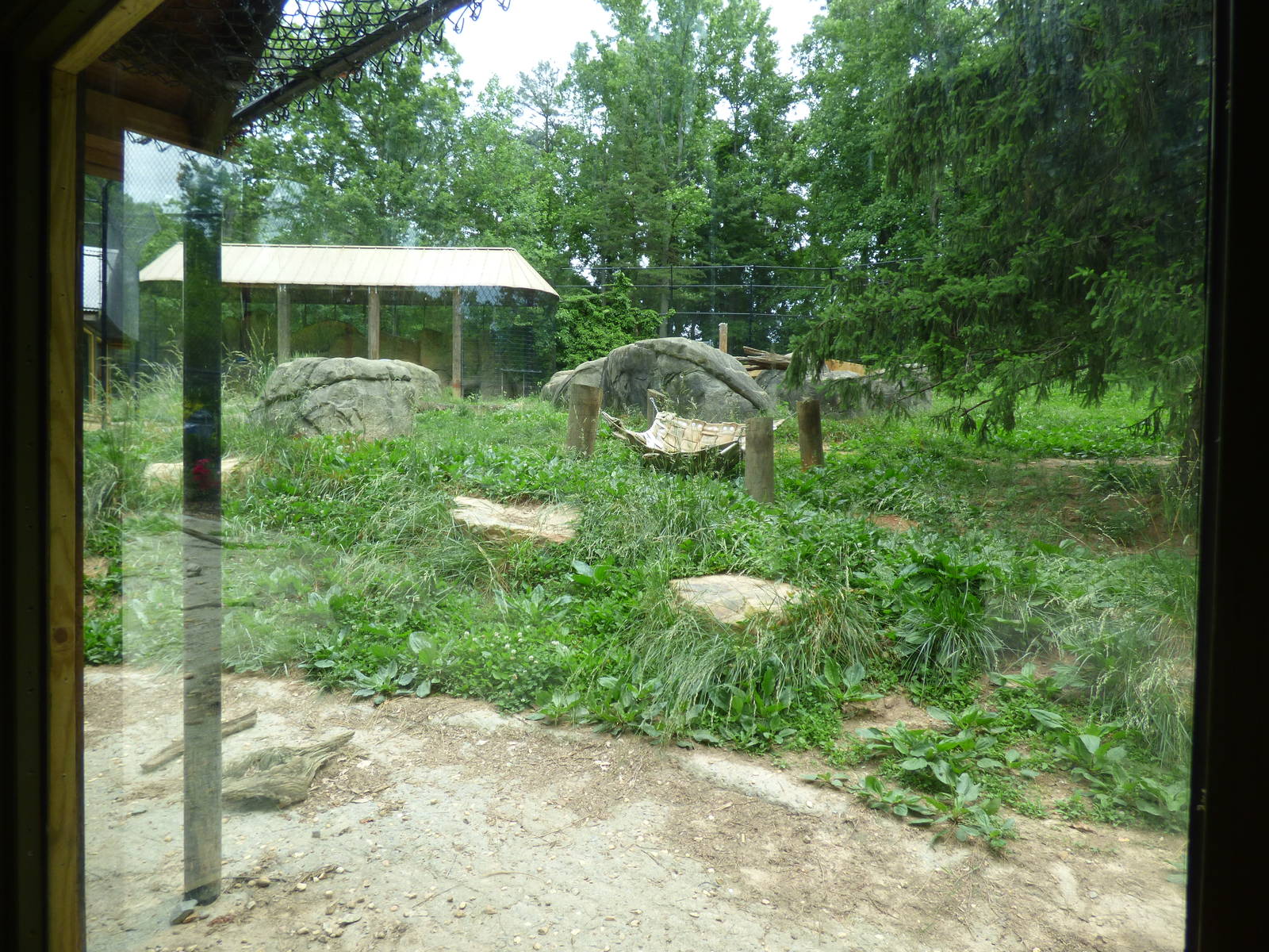 Tiger Exhibit