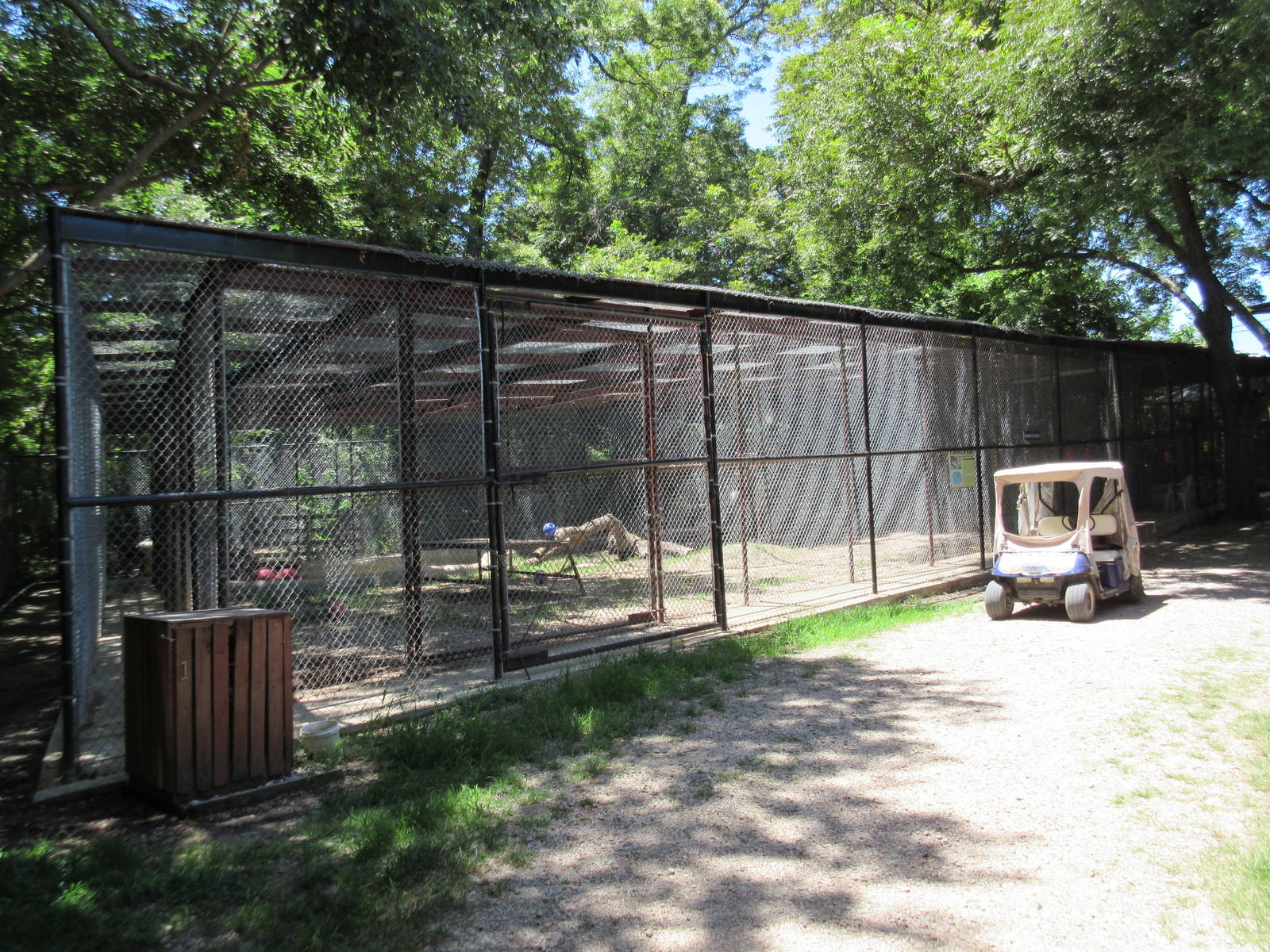 Tiger Exhibit