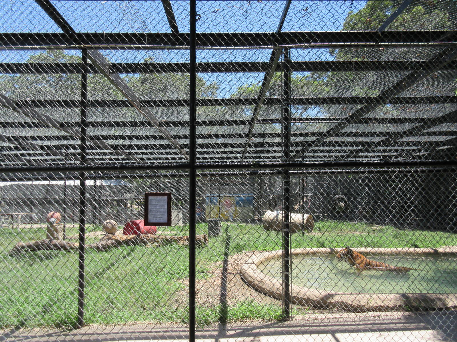 Tiger Exhibit