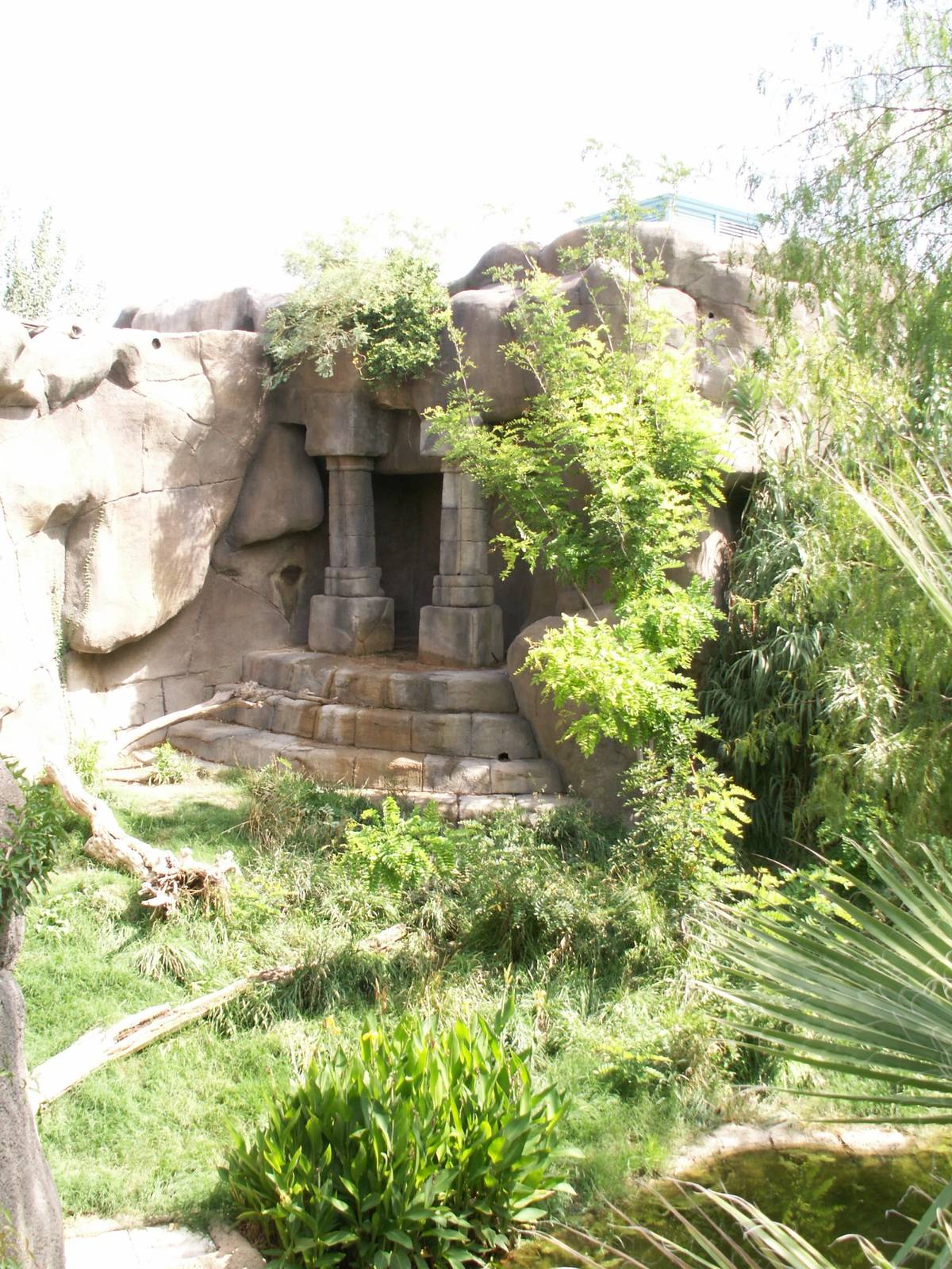 tiger exhibit