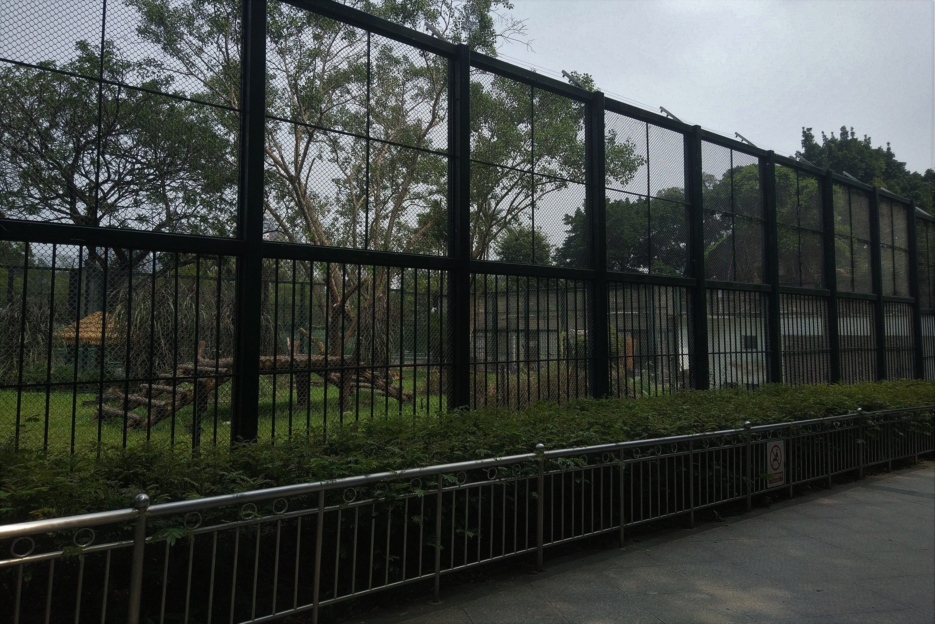 Tiger Exhibit