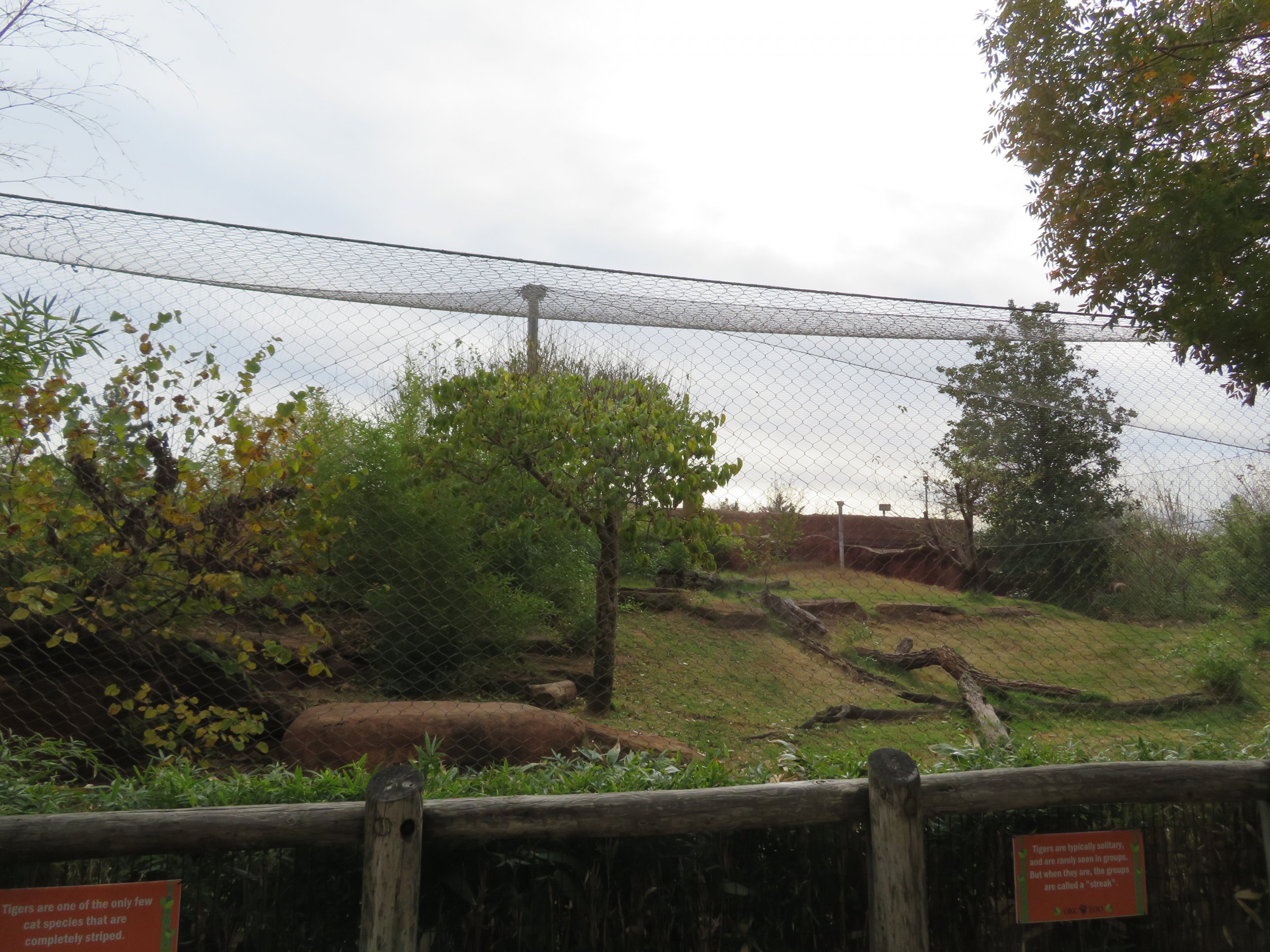Tiger Exhibit