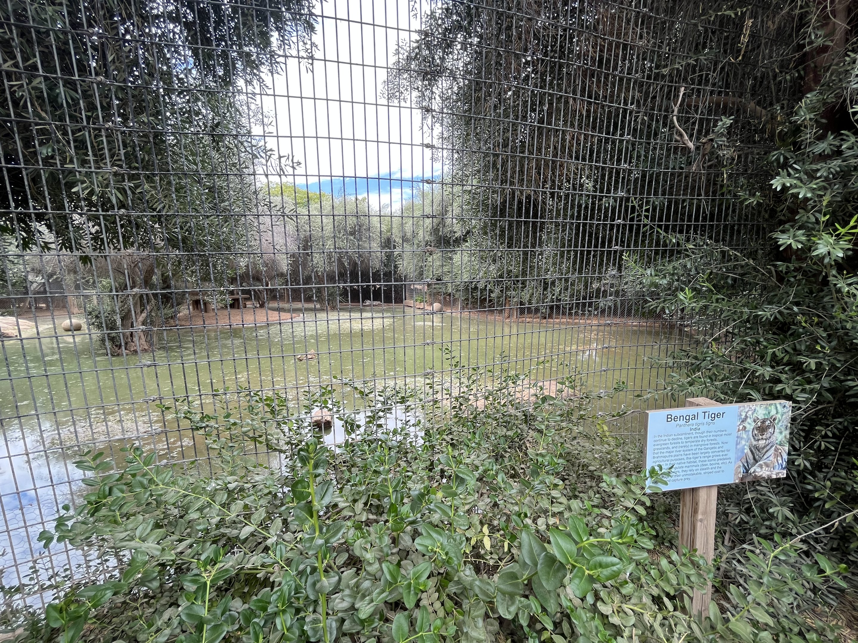 Tiger Exhibit