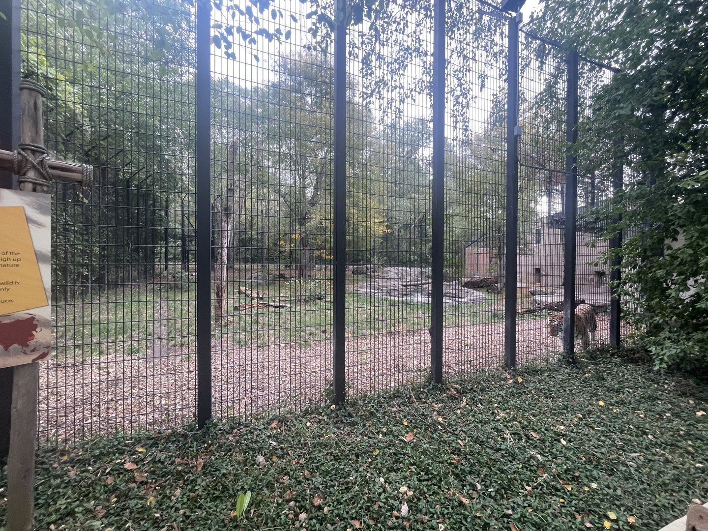 Tiger Exhibit