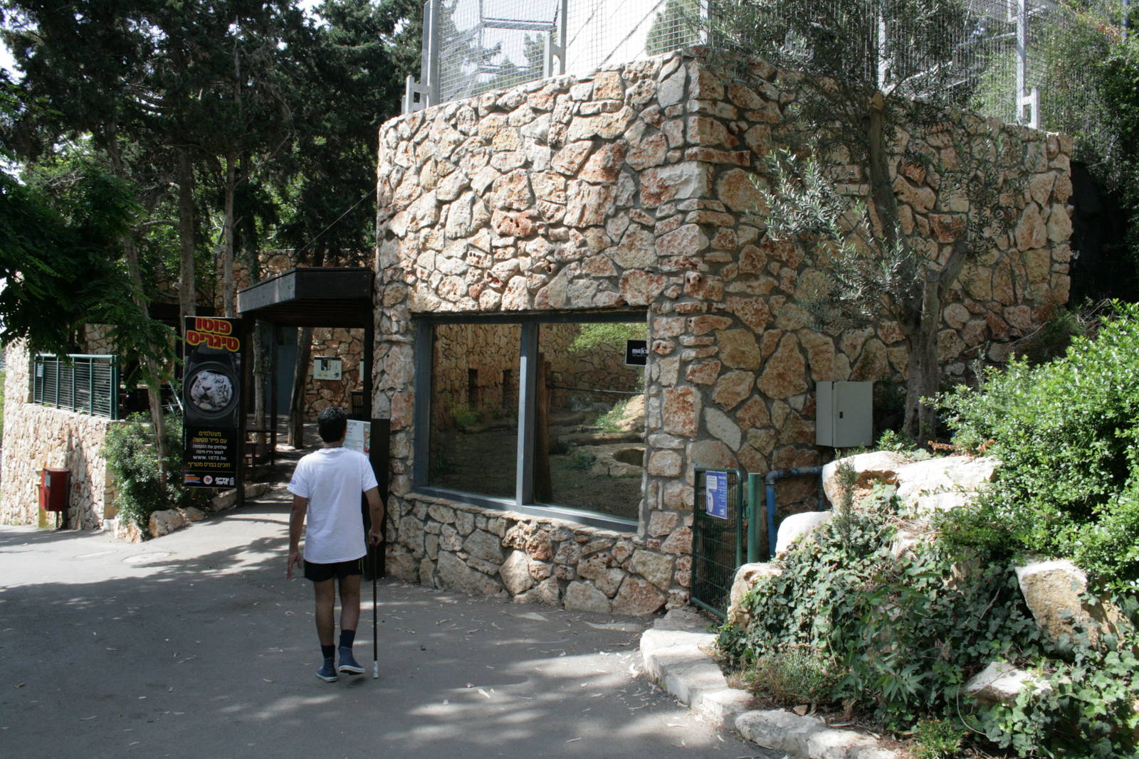 tiger exhibit