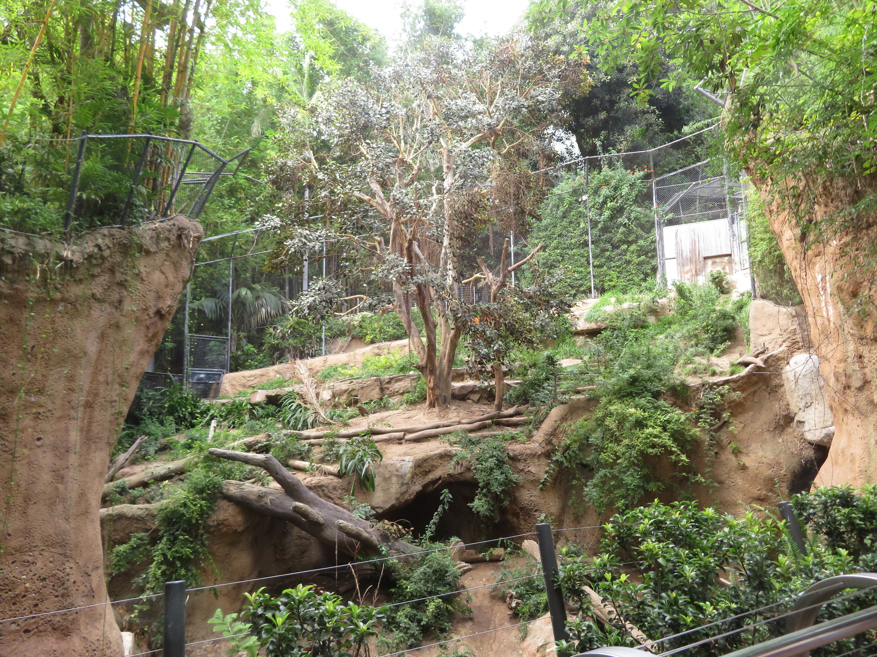 Tiger Exhibit