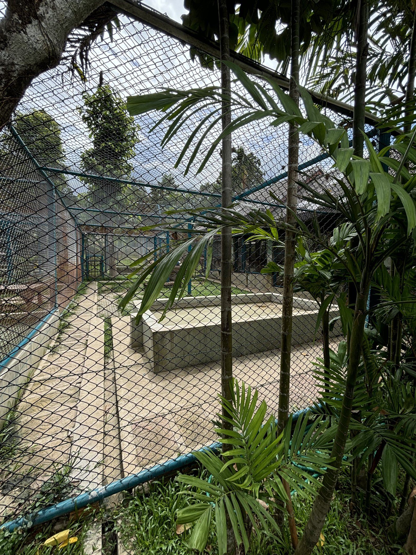 Tiger Exhibit
