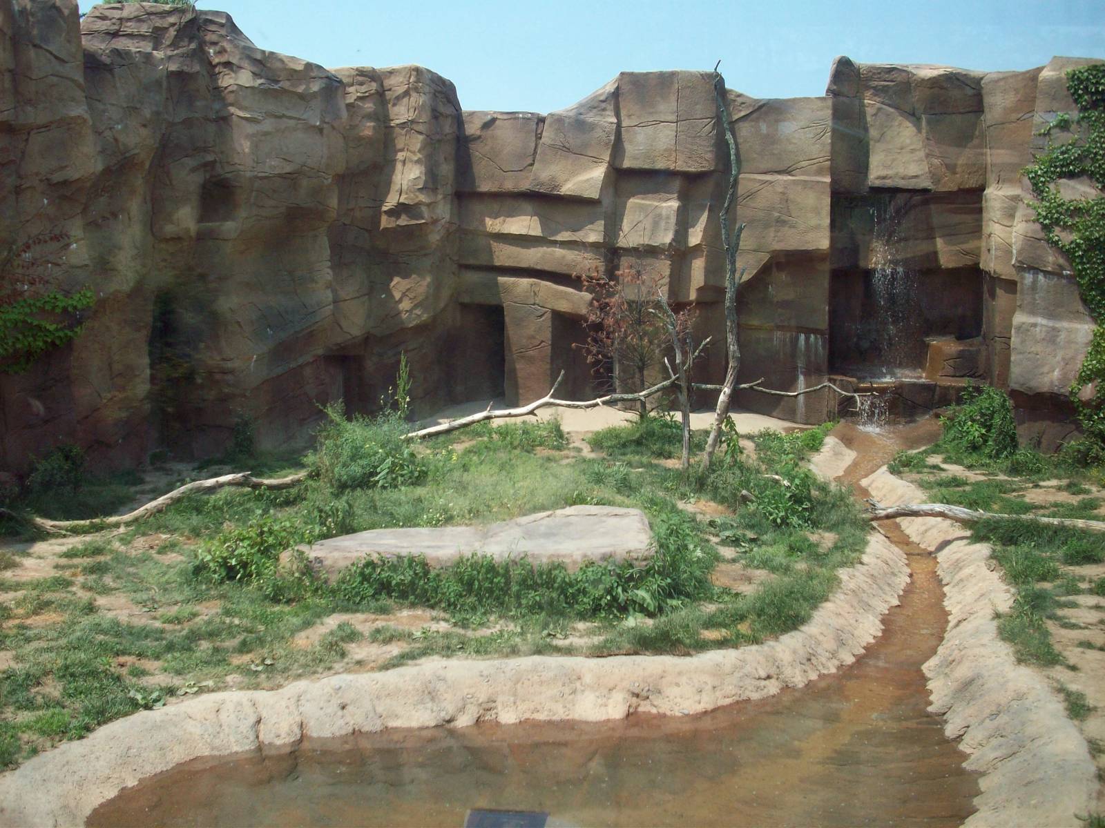 Tiger Exhibit