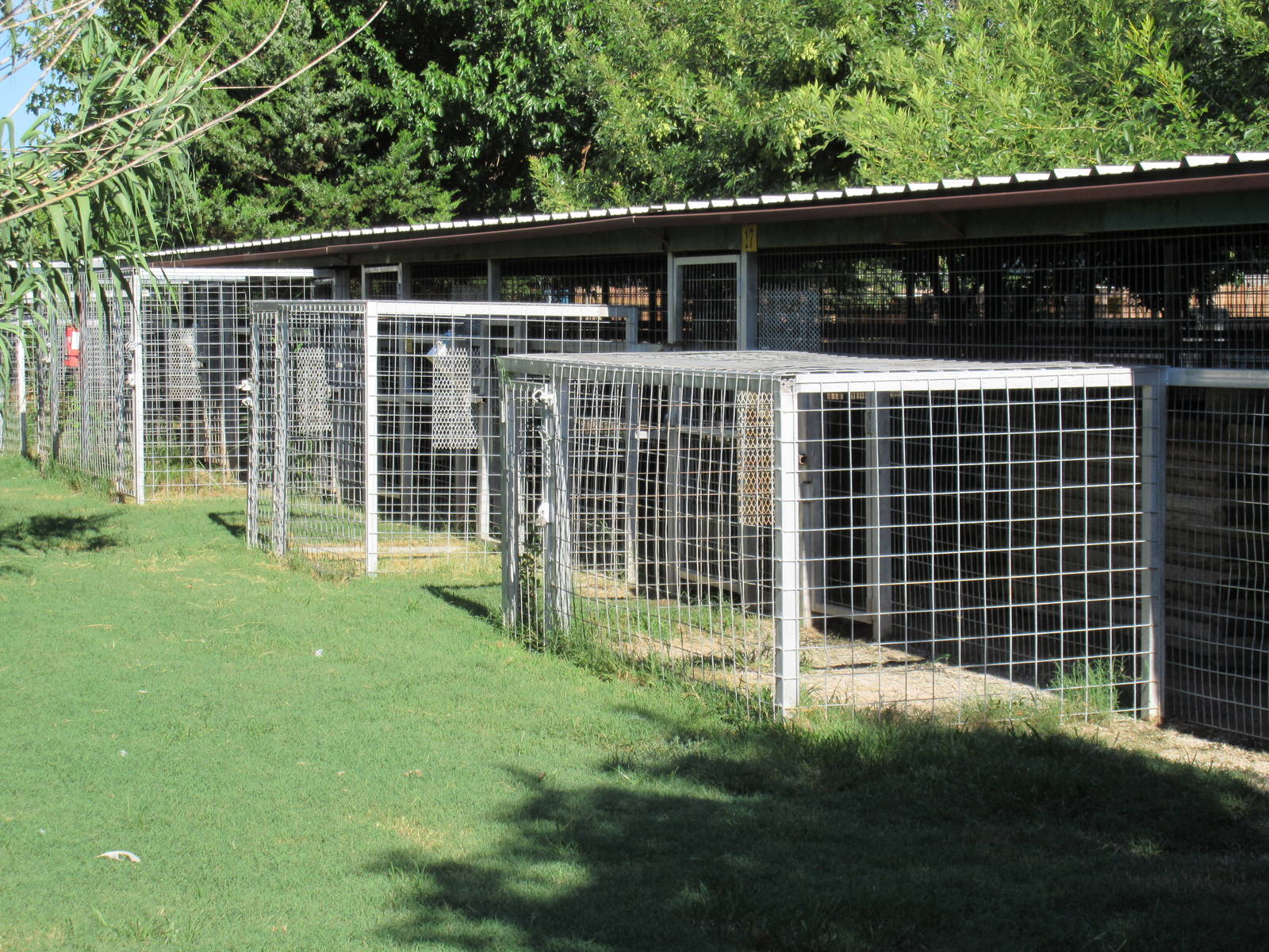 Tiger Exhibits (holding cages)