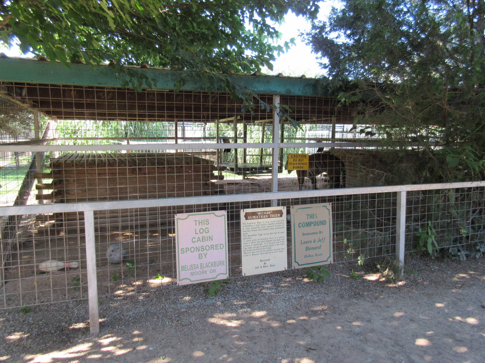 Tiger Exhibits