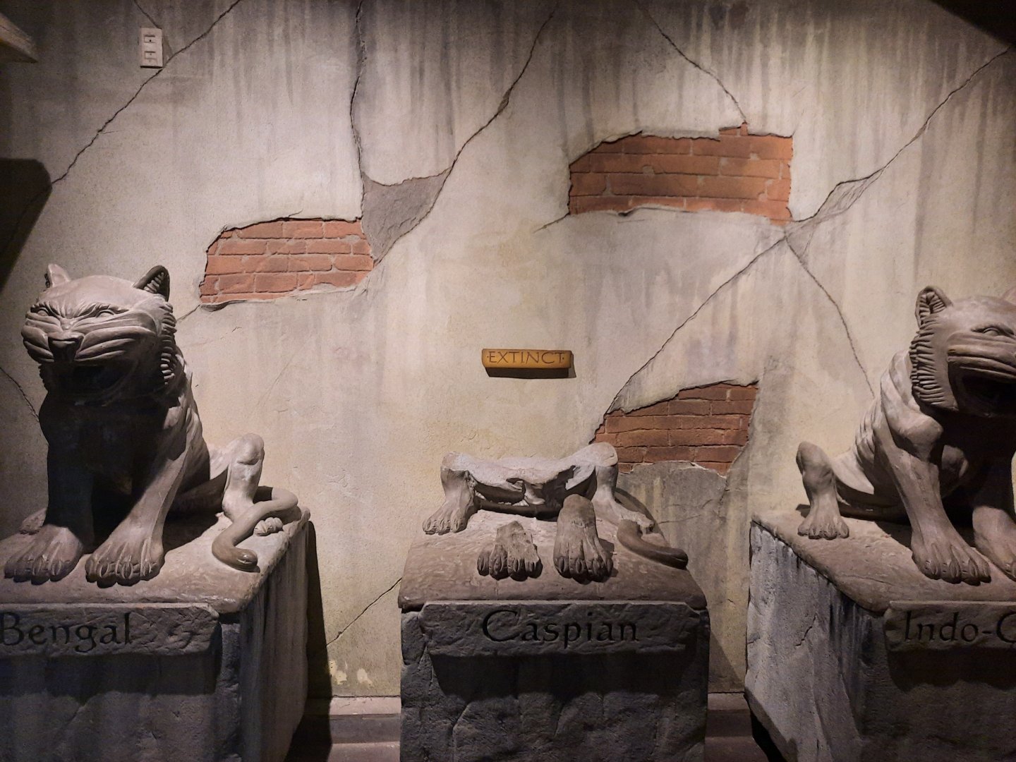 Tiger Extinction Statues