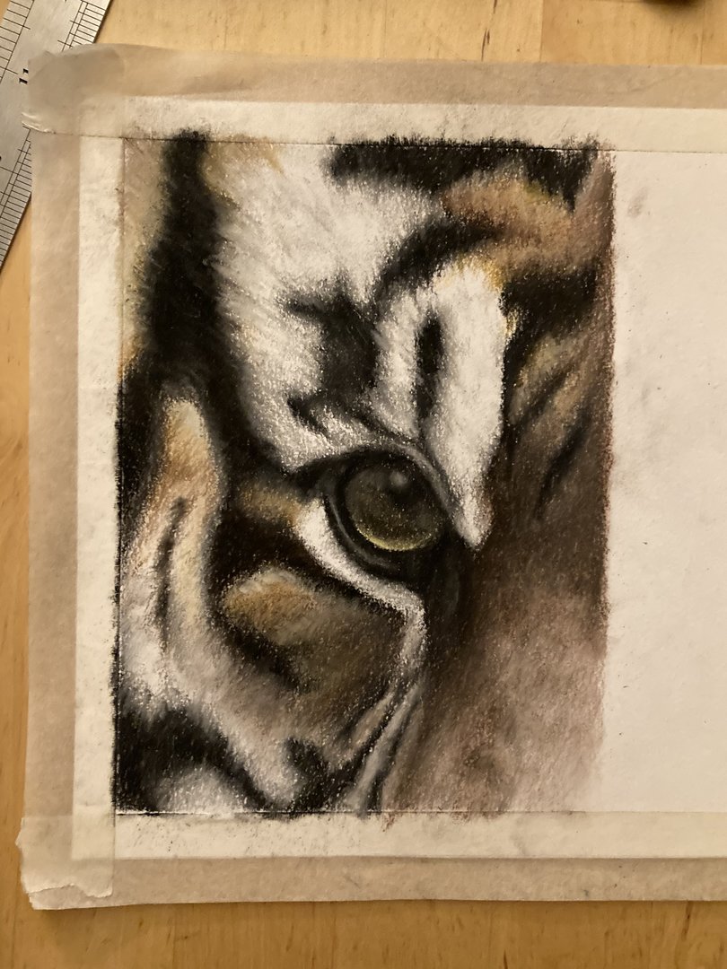 Tiger eyes drawing in progress